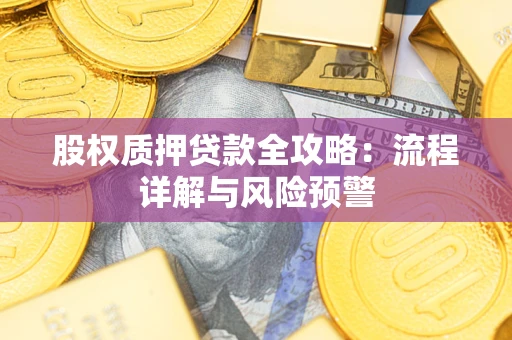 北京股权质押贷款全攻略：流程详解与风险预警