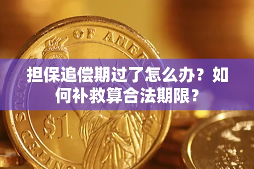 北京担保追偿期过了怎么办？如何补救算合法期限？