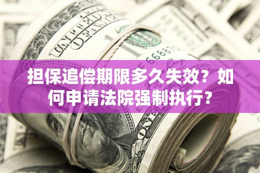 北京担保追偿期限多久失效？如何申请法院强制执行？