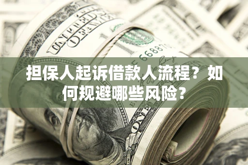 北京担保人起诉借款人流程？如何规避哪些风险？