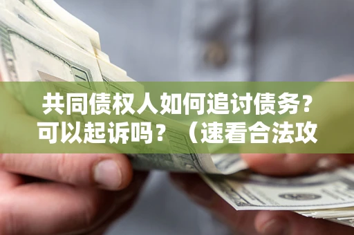 北京共同债权人如何追讨债务？可以起诉吗？（速看合法攻略）