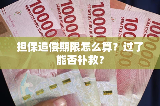 北京担保追偿期限怎么算？过了能否补救？